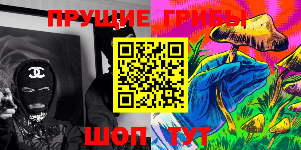 Сальск  Галлюциногенные грибы мухоморы  цены   Вход с VPN 
